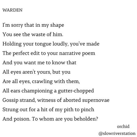 warden - orchid mikhailov